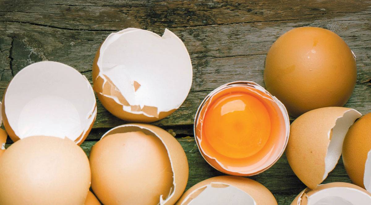 Яйцо куриное, польза и вред для организма человека — фгуз «центр гигиены и эпидемиологии в марий эл»