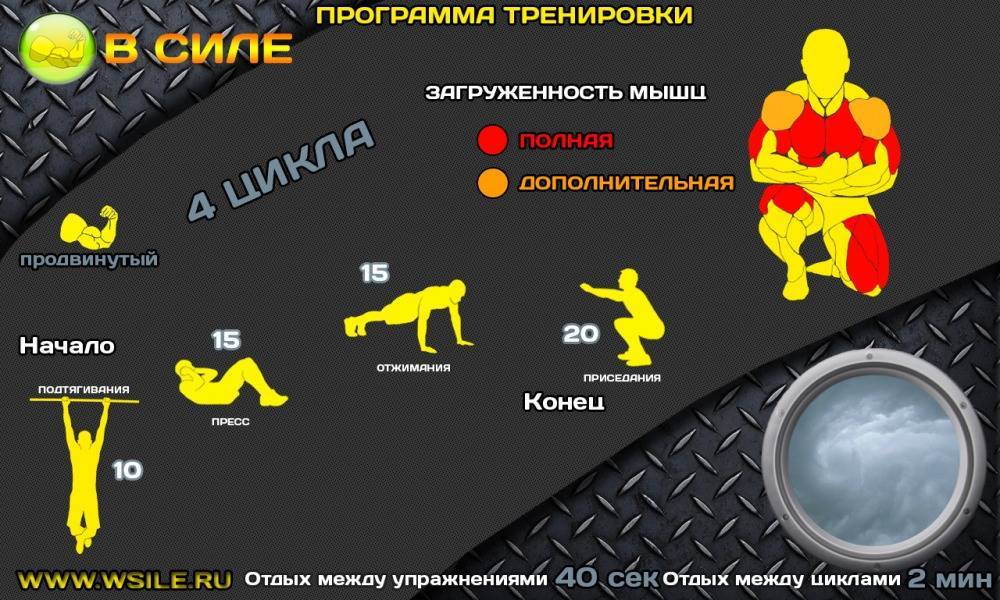 Упражнения на силу мышц: как построить тренировку и что нужно знать