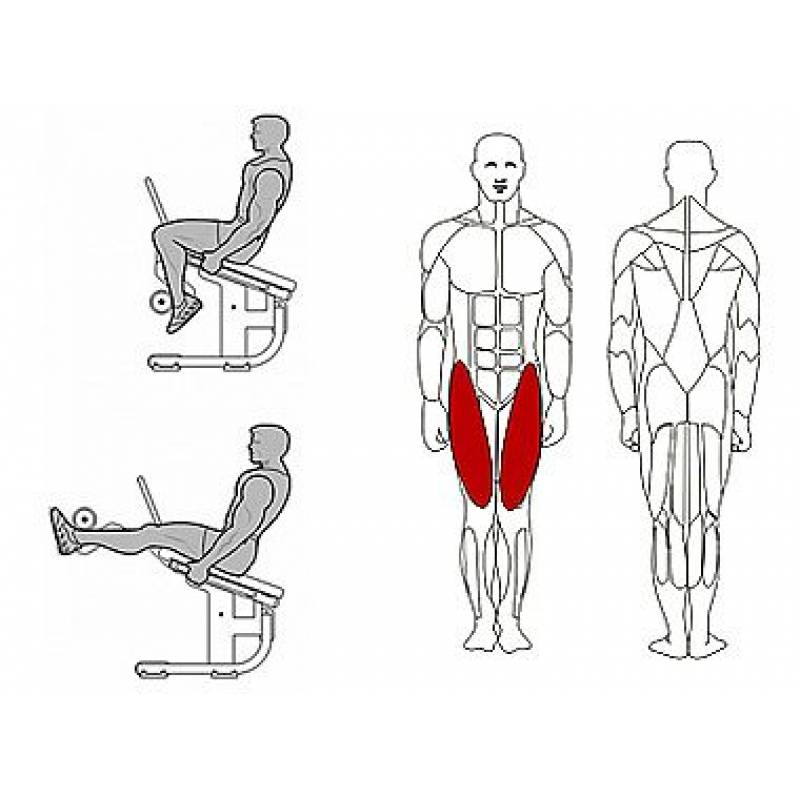Мышцы сидя. Разгибание ног Impulse if9305. Разгибание на квадрицепс. Разгибание ног в тренажере схема. Тренажер на квадрицепс бедра.
