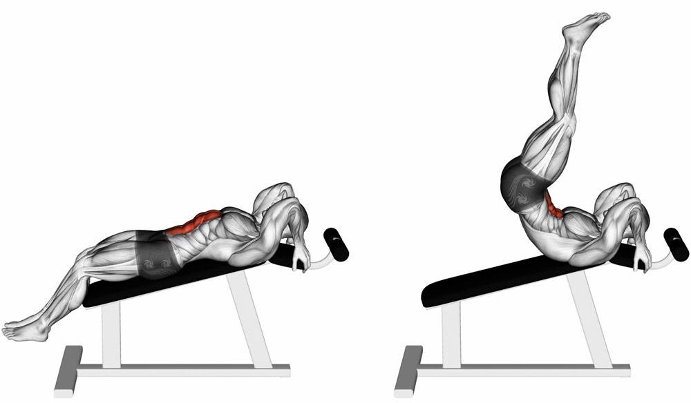 Скручивания на наклонной скамье: техника выполнения, какие мышцы работают