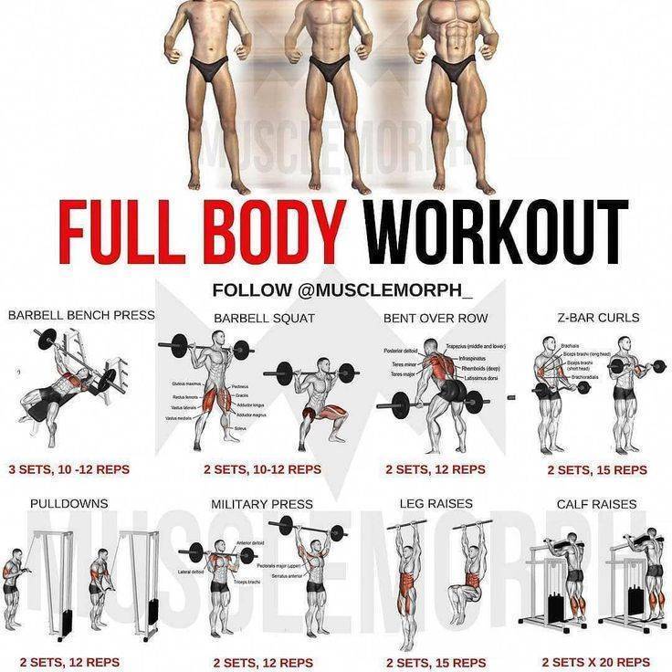Фулбоди (full body) - силовая тренировка на все тело