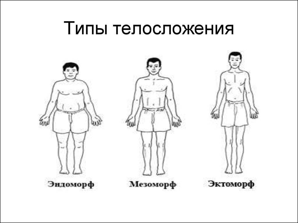 Как узнать тип своего телосложения: 4 способа