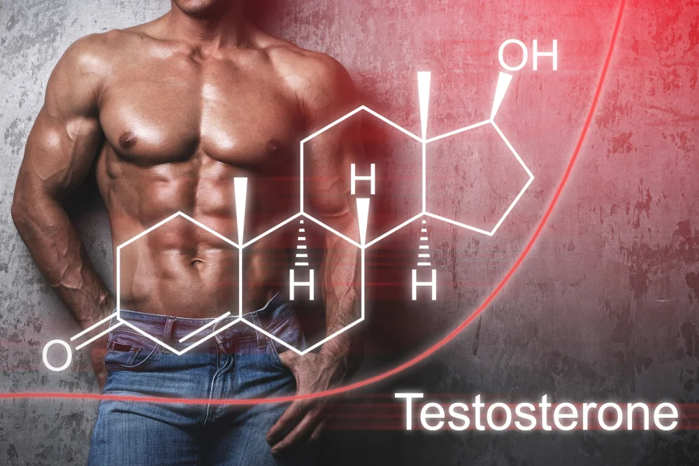 Гормон тестостерон: как повысить у мужчин и женщин