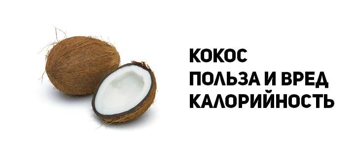 Бжу кокоса – кокосовый орех — калорийность, полезные свойства, польза и вред, описание — интернет магазин спортивной одежды multi-cross