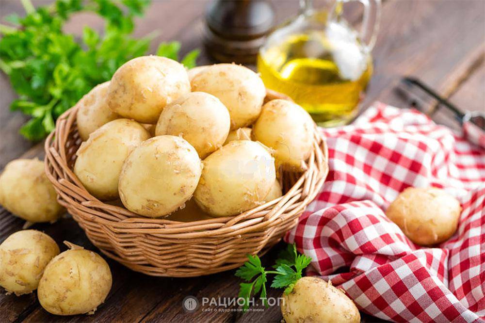 Картофель польза и вред для здоровья человека