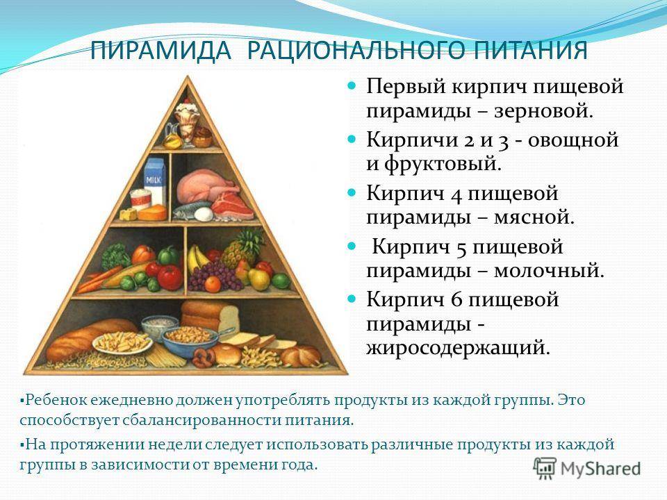 Пирамида правильного (здорового) питания, способы похудения
