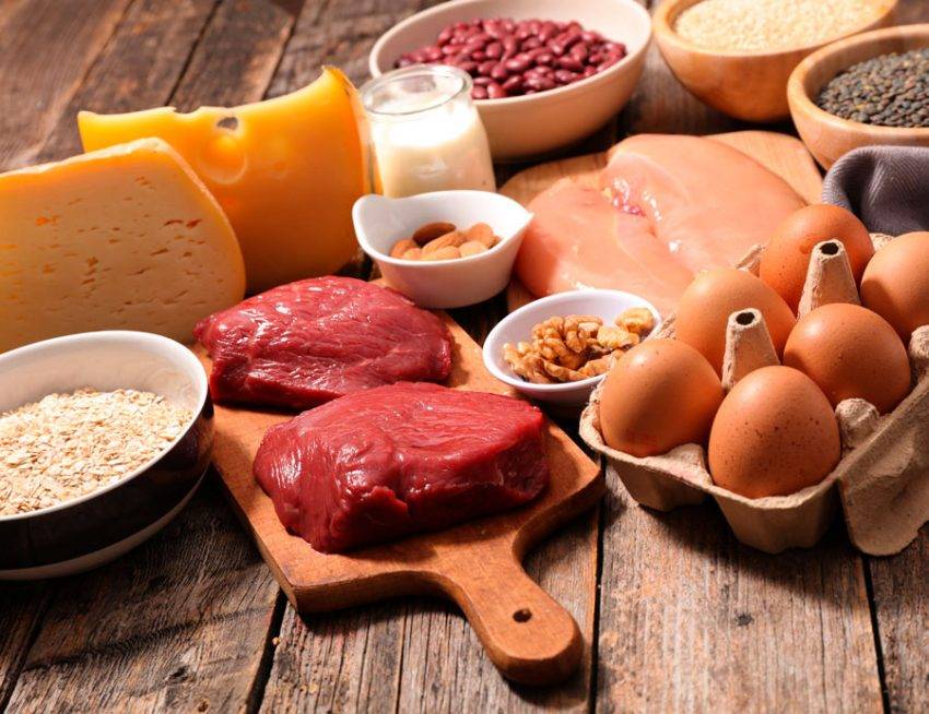 Где взять белок: продукты - рекордсмены по содержанию протеина