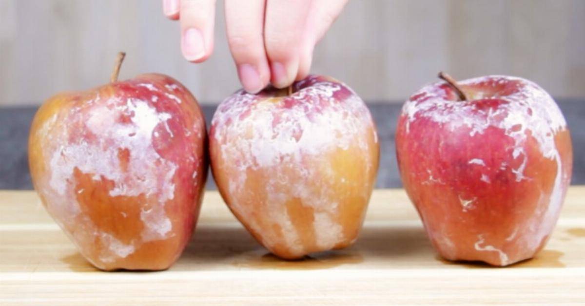 Чем обрабатывают яблоки для длительного хранения. чем обрабатывают яблоки? | здоровое питание