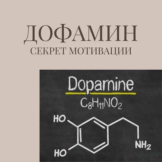 Дофамин: механизм действия, препараты, как повысить : инструкция по применению | компетентно о здоровье на ilive