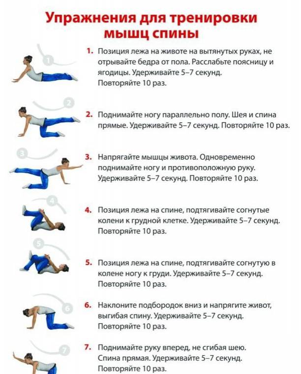 8 упражнений для спины в домашних условиях