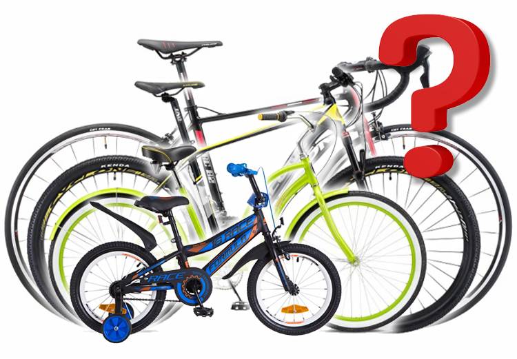 Какой велосипед купить на год. Выбор велосипеда. Много велосипедов. Большой выбор велосипедов. Велосипед для новичков.