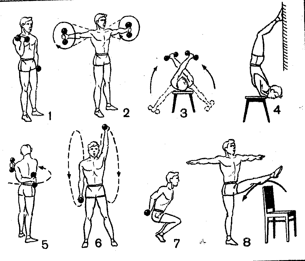 Упражнения с гантелями для женщин