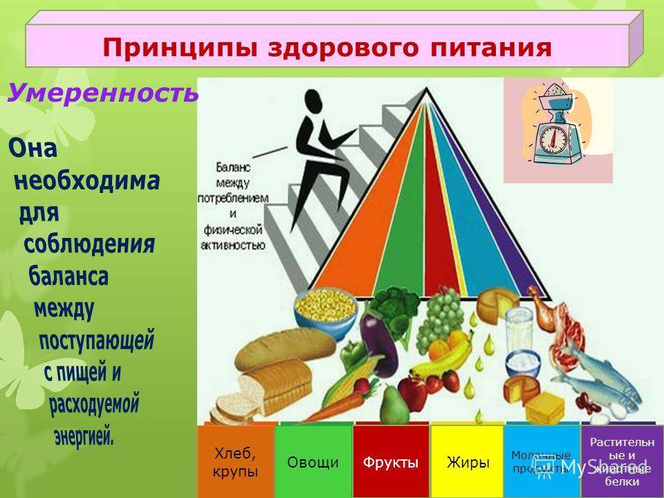Правильное питание для здорового образа жизни: основы, меню