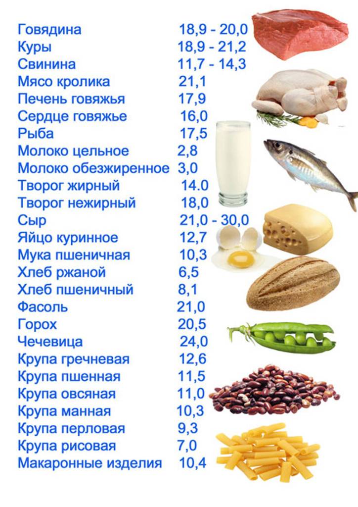 Список всех белковых продуктов для похудения в таблице