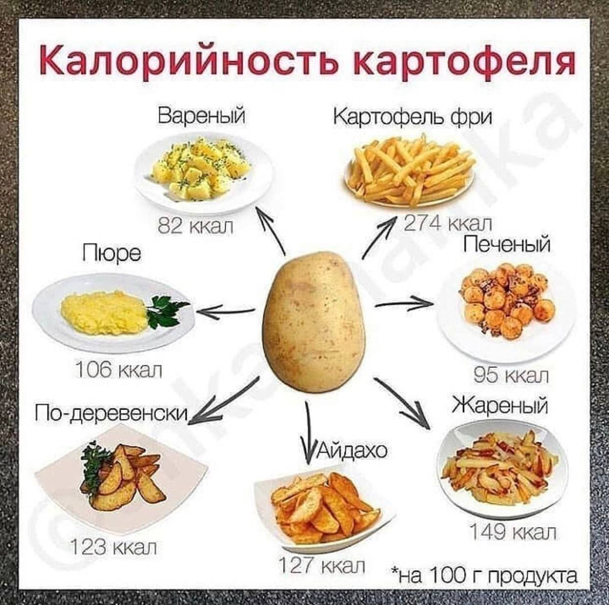 Калорийность картофеля на сто грамм продукта