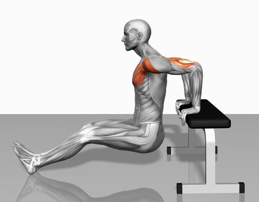 Как правильно делать упражнение «стульчик» у стены» — 4 вида движения и какие мышцы работают?