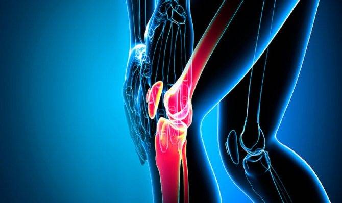 5 секретов восстановления хрящевой ткани в колене