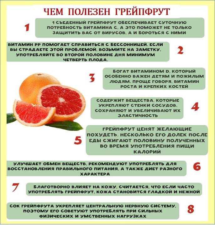 Диета утром 2 яйца и грейпфрут: яично-грейпфрутовое меню на 4 недели, 3, 7 дней, отзывы и результаты, на сколько можно похудеть | customs.news