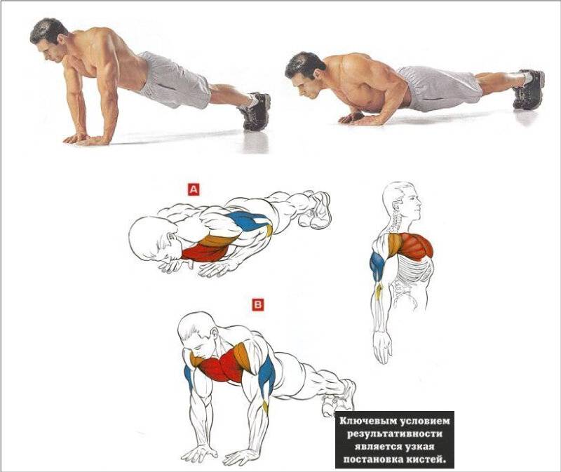 Как накачать мышцы