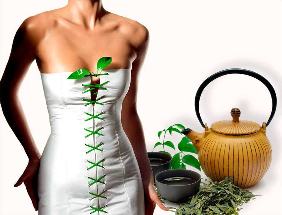 Зеленый чай для похудения - раскрываем все секреты применения