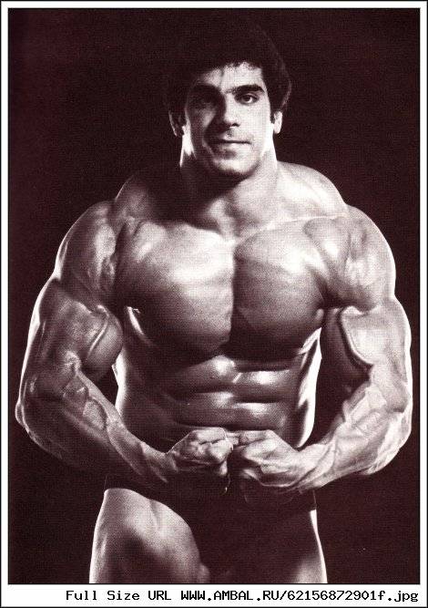 Лу ферриньо (lou ferrigno) — биография и достижения