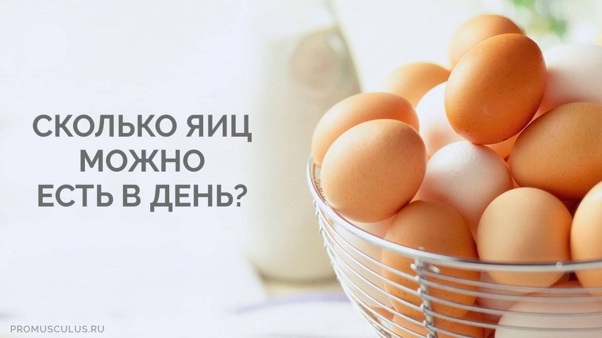 Чем полезны яйца и сколько их можно съесть на пасху