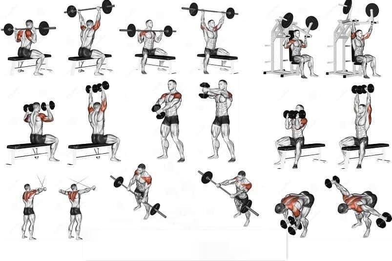 Базовые упражнения для набора мышечной массы, базовые упражнения в бодибилдинге