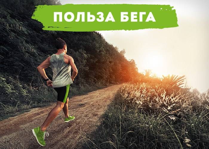 Что будет если бегать каждый день - польза и вред ежежневного бега