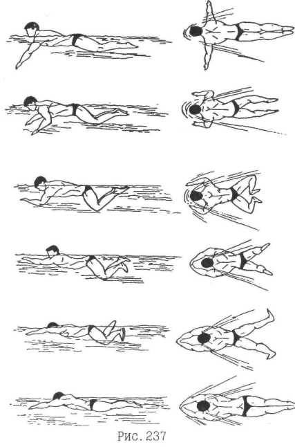Плавание брассом: техника выполнения, упражнения, ошибки