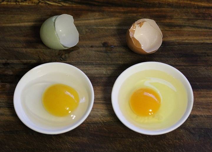 Почему куриные яйца бывают разного цвета и какие лучше выбирать?