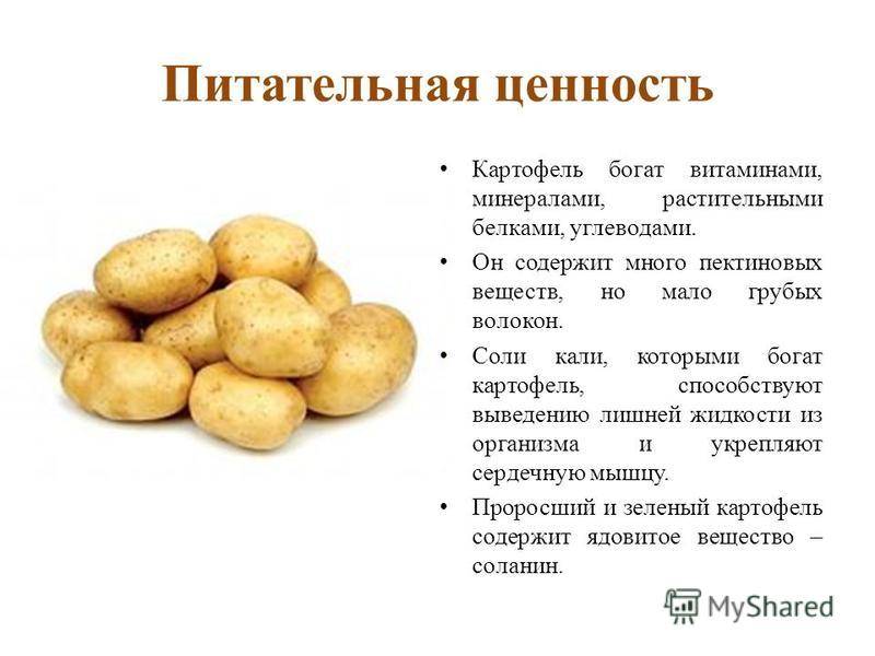 Вареный картофель: польза и вред для организма человека, какие витамины и калорийность содержатся в 1 шт, таблица микроэлементов молодого овоща, сколько сахара