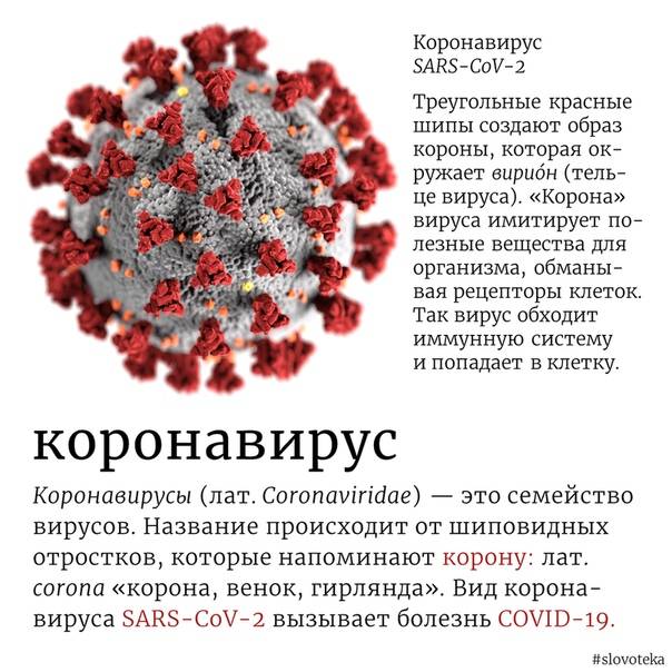 Если у вас коронавирус: отвечаем на 10 главных вопросов о правах пациентов при заражении covid-19