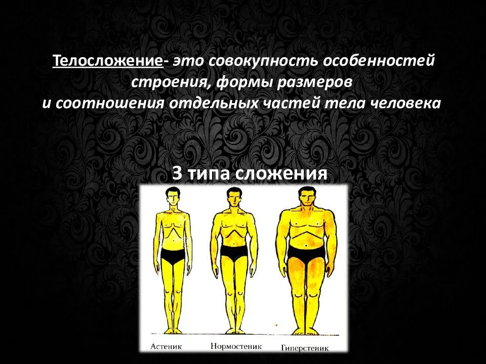 Женские и мужские типы телосложения: одаренность против целеустремленности