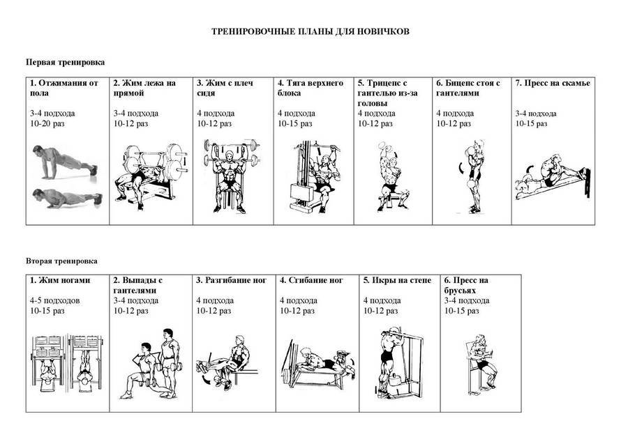 Программа тренировок в тренажерном зале для девушек: план и комплекс упражнений на неделю