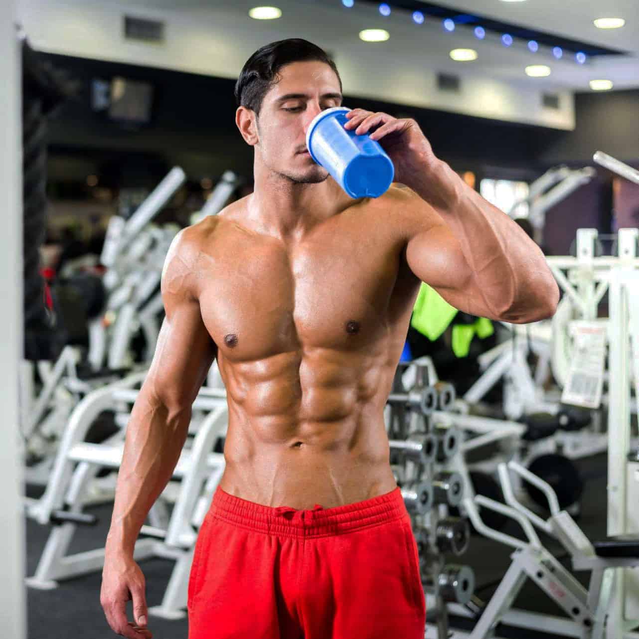 Перерывы в употреблении протеина. спортивное питание: как начинающим пить протеин для набора мышечной массы.