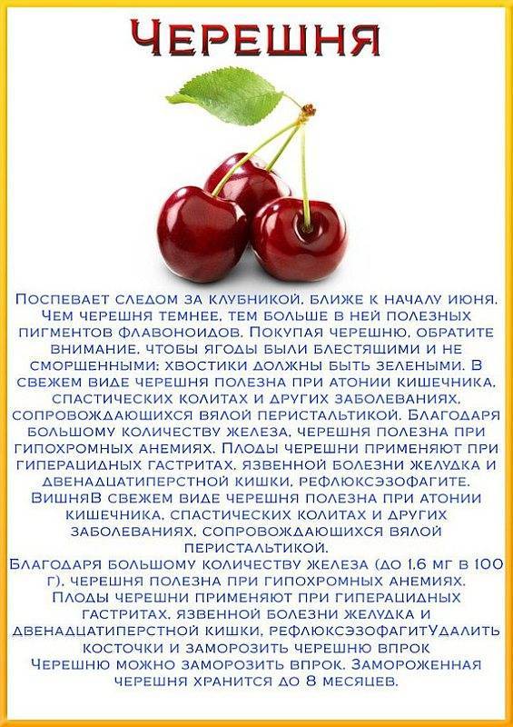 Полезные свойства и вред вишни для организма человека