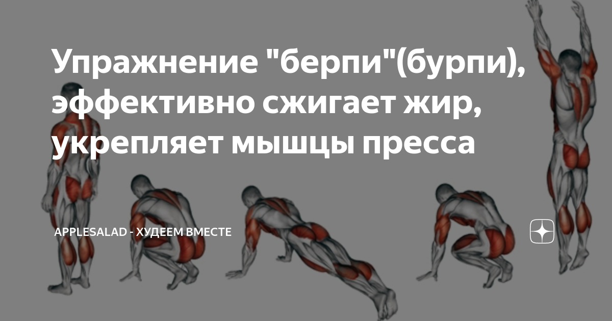 Аэробные тренировки мешают гипертрофировать мышцы | fpa