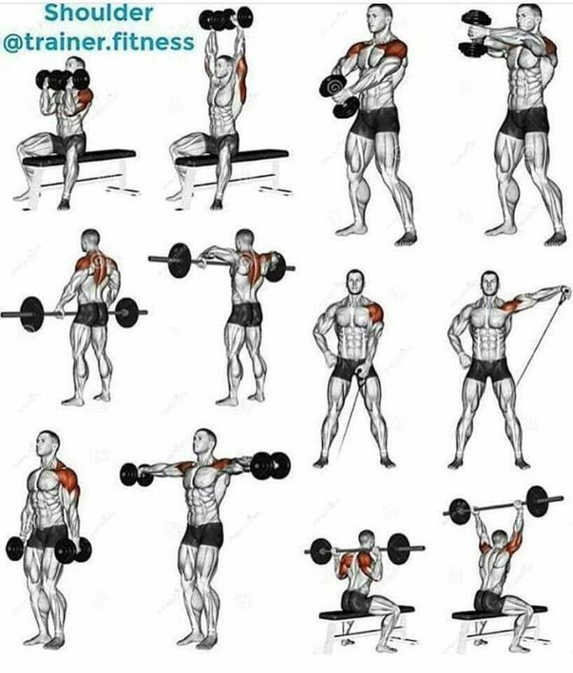 Базовые упражнения на плечи для массы и силы