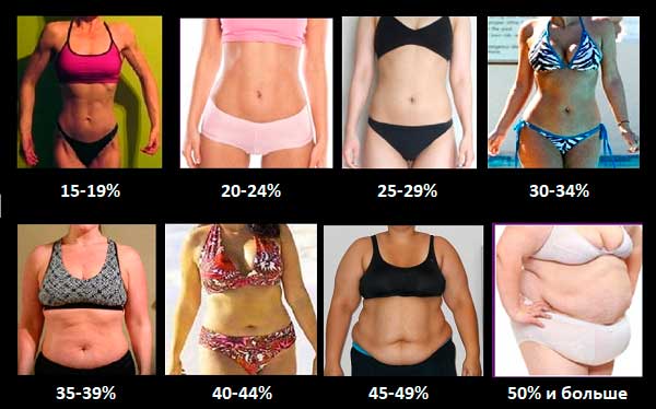 Процент жира в организме женщины и мужчины, фото примеры
