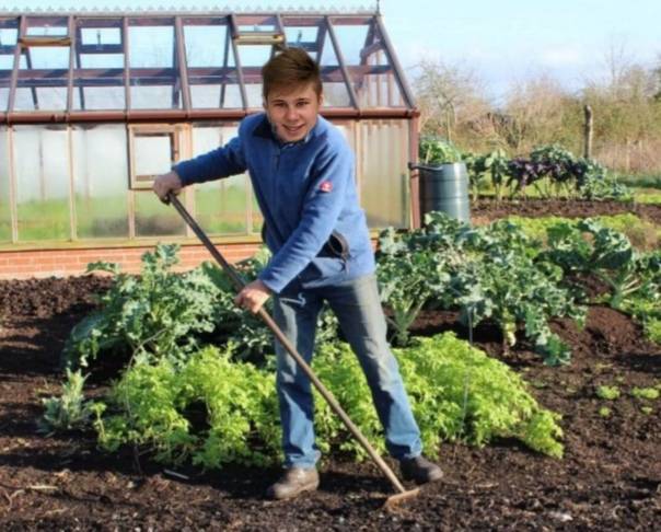 На заметку дачникам: 10 советов, помогающих упростить работу в саду