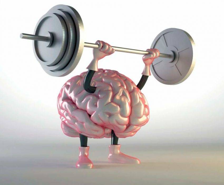 Тренировки перестраивают мозг, повышая устойчивость к стрессу