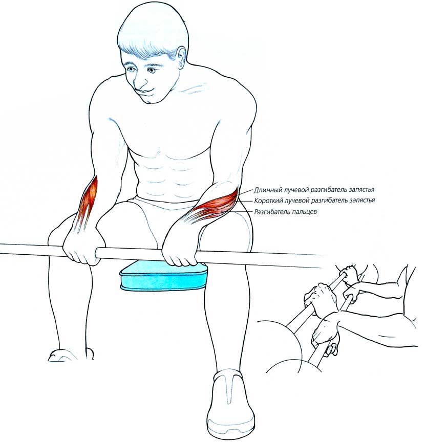 Как накачать мышцы предплечья в домашних без диет