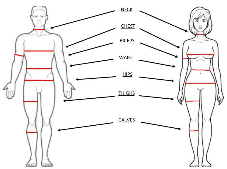 Схема замеров тела