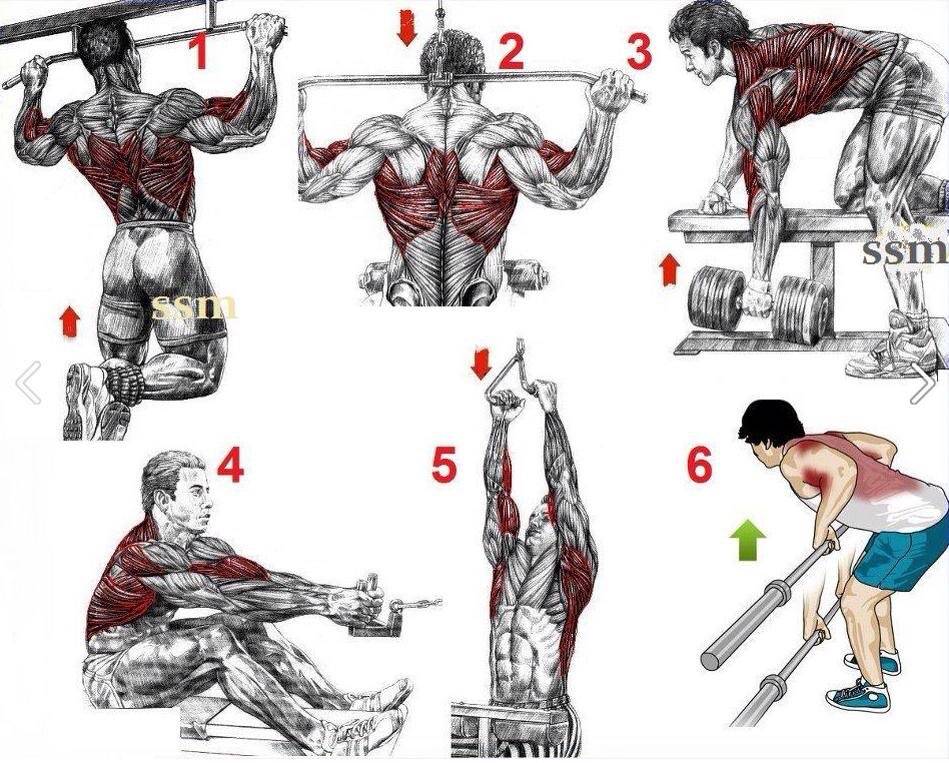 Лучшие упражнения для спины в тренажерном зале для мужчин на развитие массы, ширины и рельефа