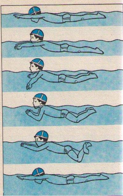 Как научиться плавать брассом: порядок обучения для взрослых и для детей, уроки плавания, лучшее видео - учимся быстро и эффективно!
