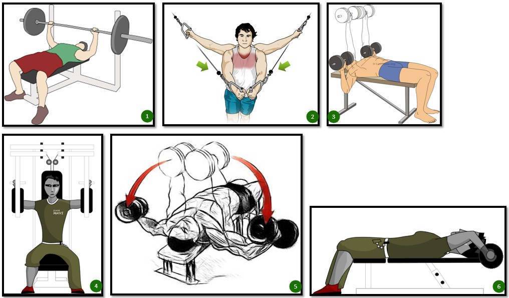 Топ-4 базовых упражнения на мышцы груди в тренажерном зале и дома