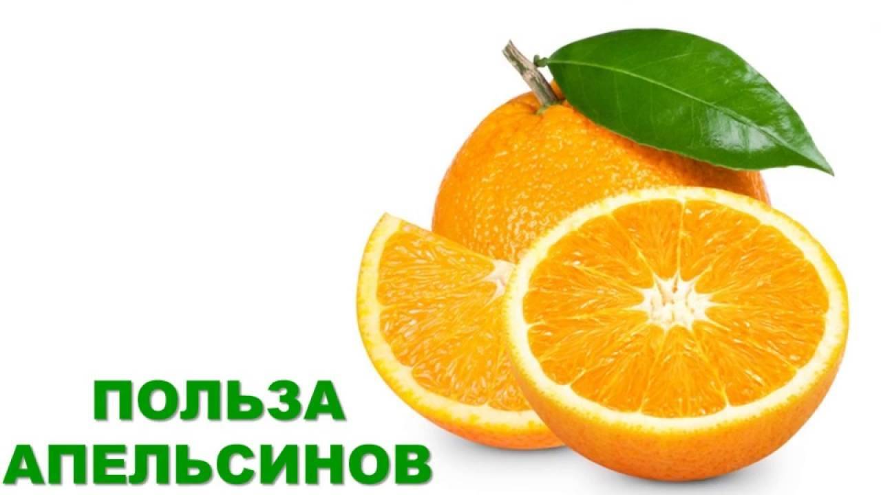 Апельсин: польза, вред, противопоказания для здоровья организма человека – портал "стань лучше"