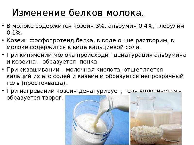 Сколько белка в молоке и кому оно полезно :: syl.ru
