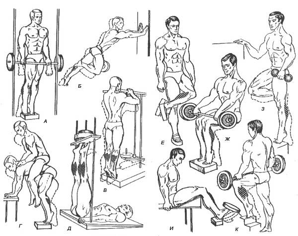 Как накачать икры ➔ анатомия икроножных мышц и лучшие упражнения
