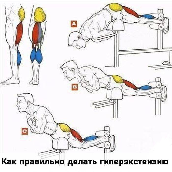 Упражнения для поясничной мышцы: топ советы | бомба тело